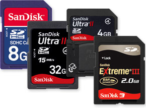 Secure Digital (SD) Cards